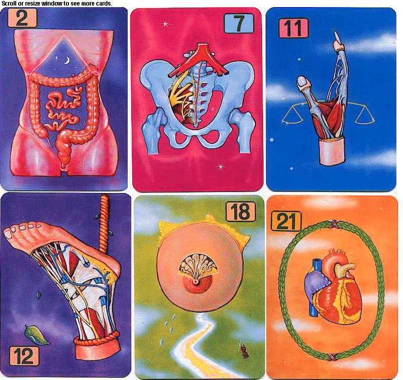 Medcards medcards
