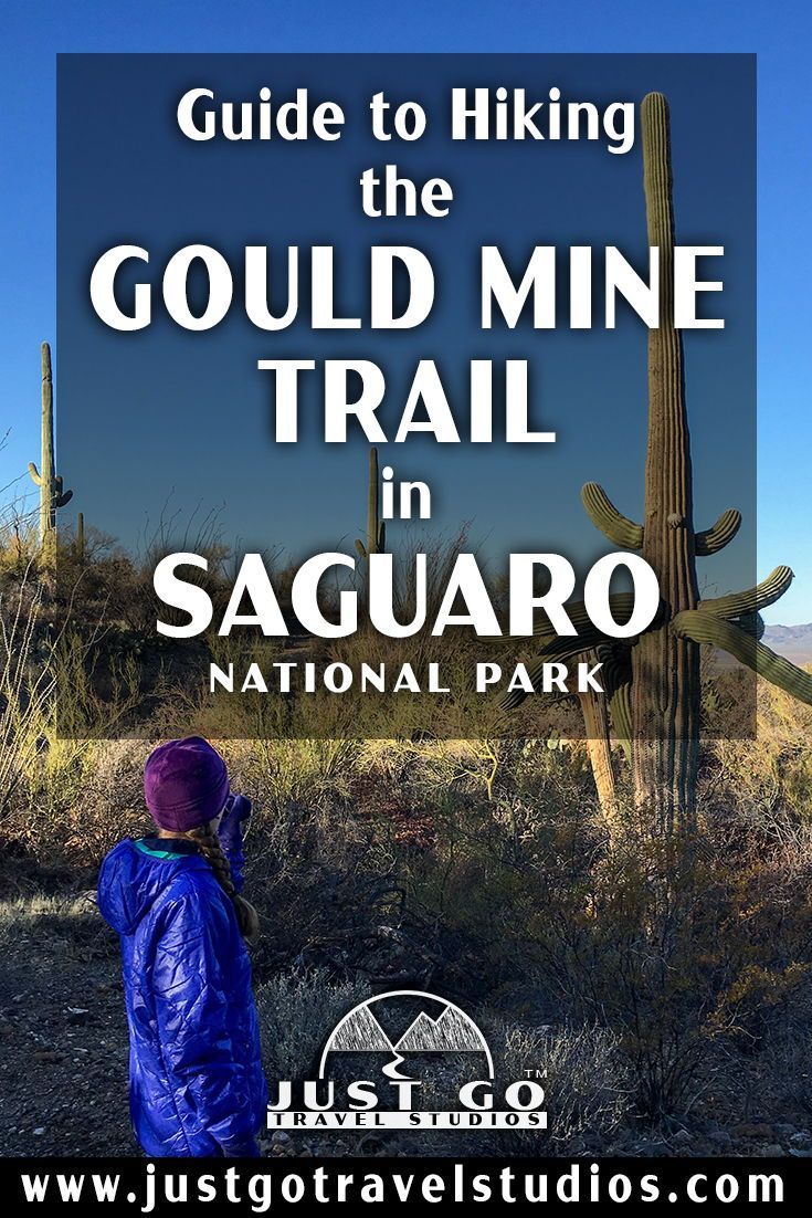 The Gould Mine Trail in Saguaro National Park is simply amazing! Our blog will tell you what you need to know, including what to wear, the best times of year to visit, how to get there and what to bring with you. #justgotravelstudios #saguaronationalpark Future Days, Kings Canyon, Arizona Travel, Valley View, Gould, Trail Maps, Saguaro, Park Service, Picnic Area