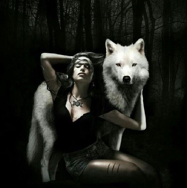 Pin by Juicy Brown Buns💋 on Δ˩ƤĦΔ | Wolves and women, Wolf love, Wolf ...