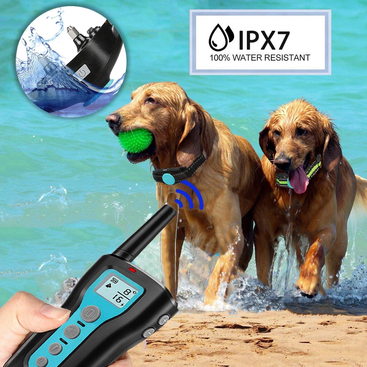Ipetdog Dog Training Collar With Remote 1000ft Control Range