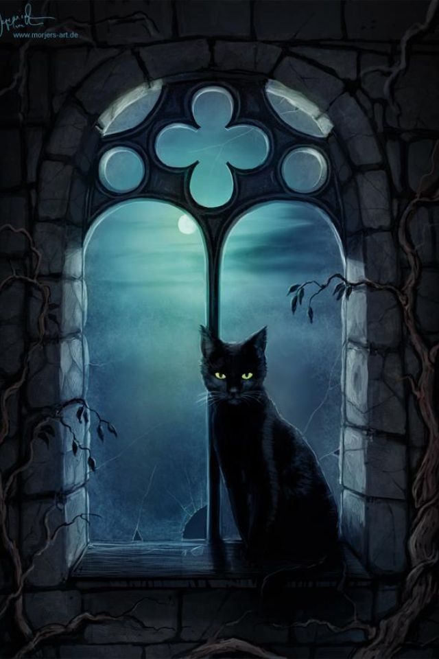 gato ventana noche cat window night Cat Art Black Cat Art gato-ventana-noche-cat-window-night-cat-art-black-cat-art