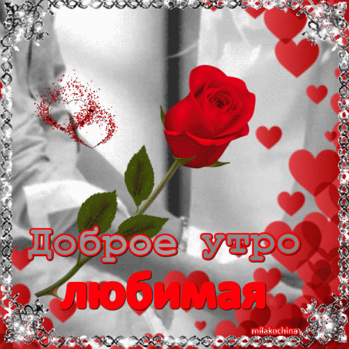 С ДОБРЫМ УТРОМ ЛЮБИМАЯ! Love You Gif, Joseph, Content, Beautiful Images