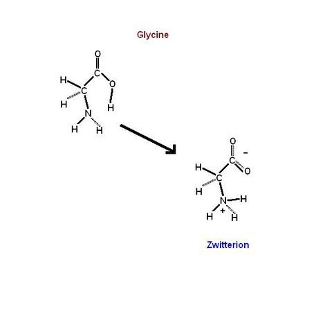 Zwitterion State Review Charged Amino Acids Brush Up On Amino Acids And Other Biochemistry Concepts With Ou Biochemistry Biomedical Science Medical Science