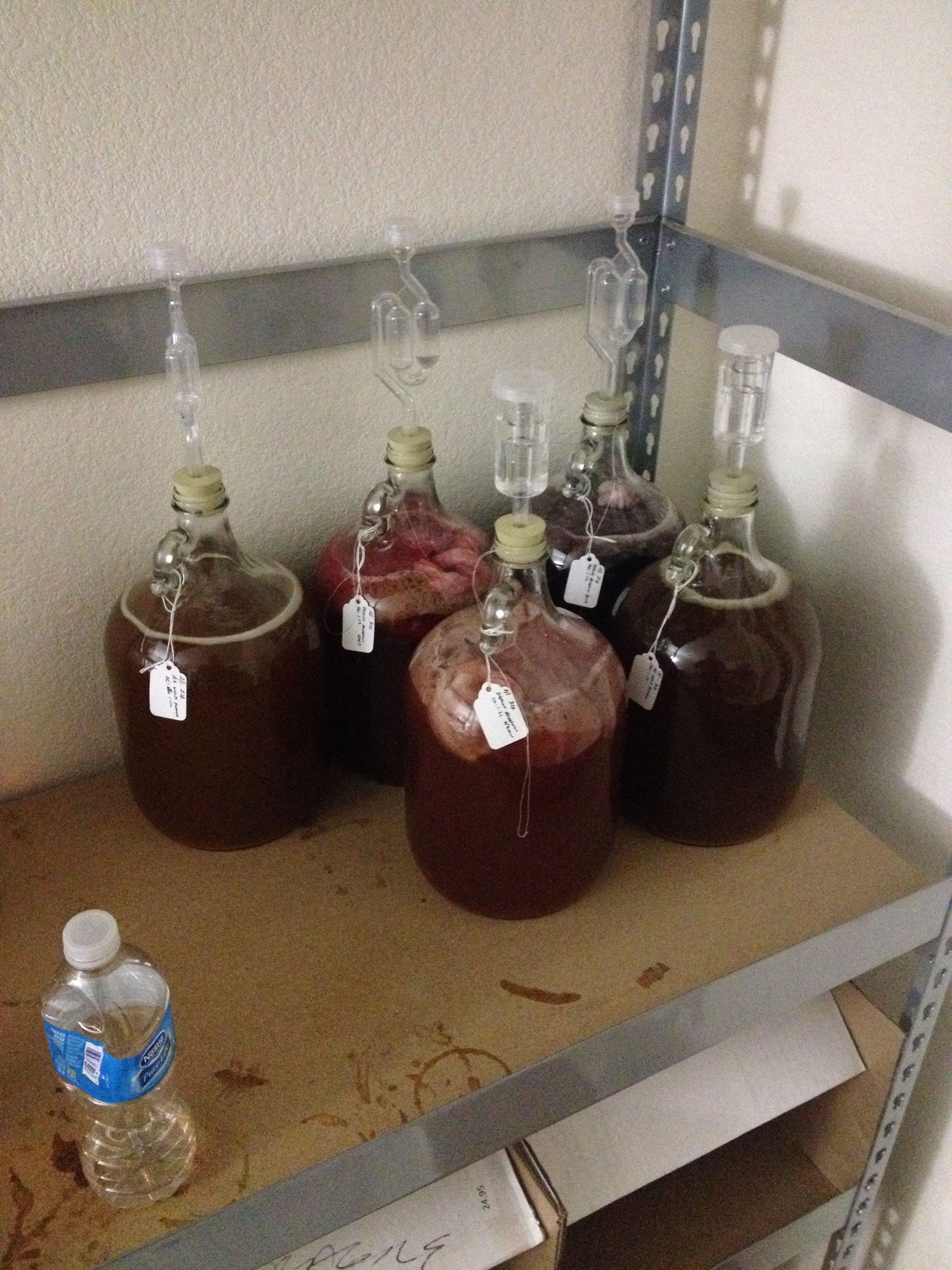 5 gallons of mead, 2 traditional, 1 raspberry, 1 5 gallons of mead, 2 traditional, 1 raspberry, 1