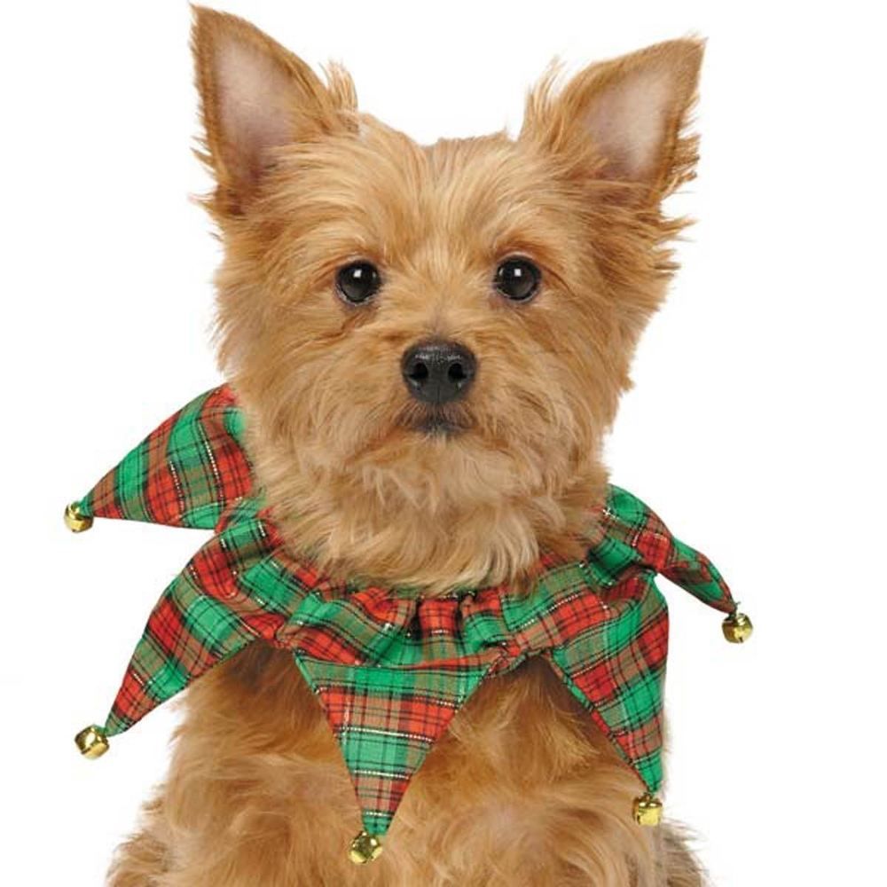 Christmas dog tartan collar jester bell pet puppy cat