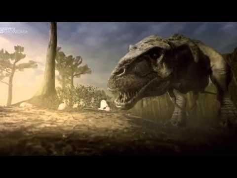 animal planet horse documentary animal planet horse documentary