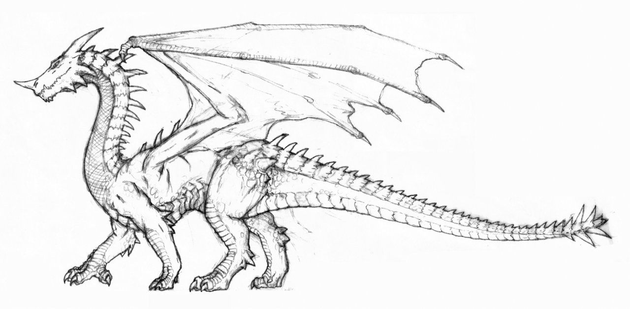 Green Dragon D4e Cool Sketches Green Dragon Dragon Design Green Dragon D4e Cool Sketches Green Dragon Dragon Design