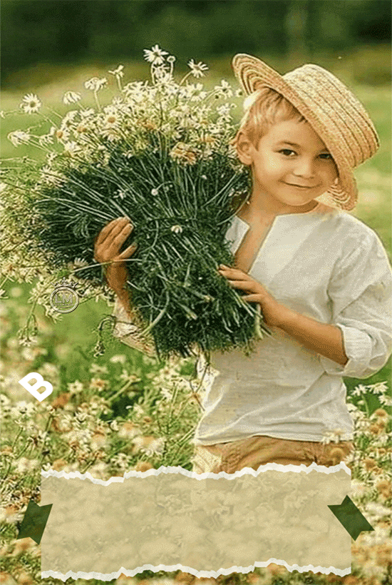 39b459a8dee00c7f3e860eacea613507.gif