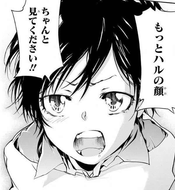 Rebornハル Reborn Katekyo Hitman Hitman Reborn Hitman Rebornハル Reborn Katekyo Hitman Hitman Reborn Hitman