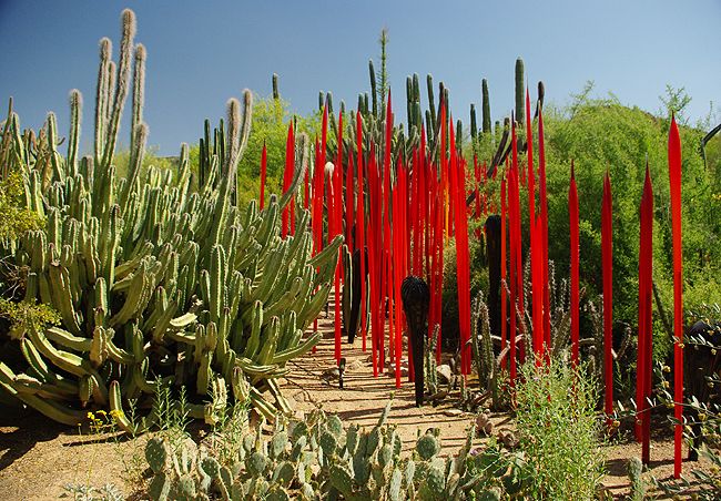 Sauron Statue And Odd Glass Stuff In The Desert Botanical Garden In Arizona At Dusk Weird Instrumental Tunes Make M Chihuly Landscape Desert Botanical Garden
