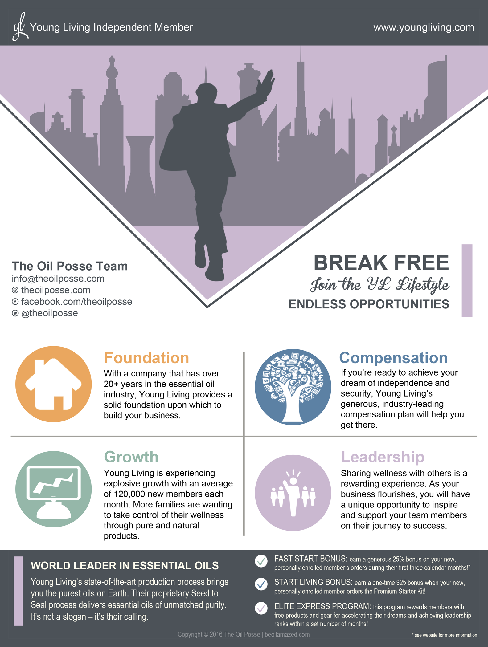 young living business opportunity flyer essentially essential flyers for young living
