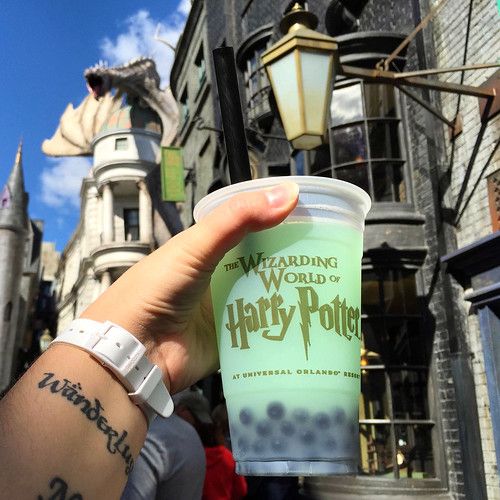 10 Can't-Miss Things to Do at the Wizarding World of Harry Potter in Orlando