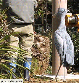 This image has an empty alt attribute; its file name is 3a3e1bb76e6976e96d79ba93473feccf.gif