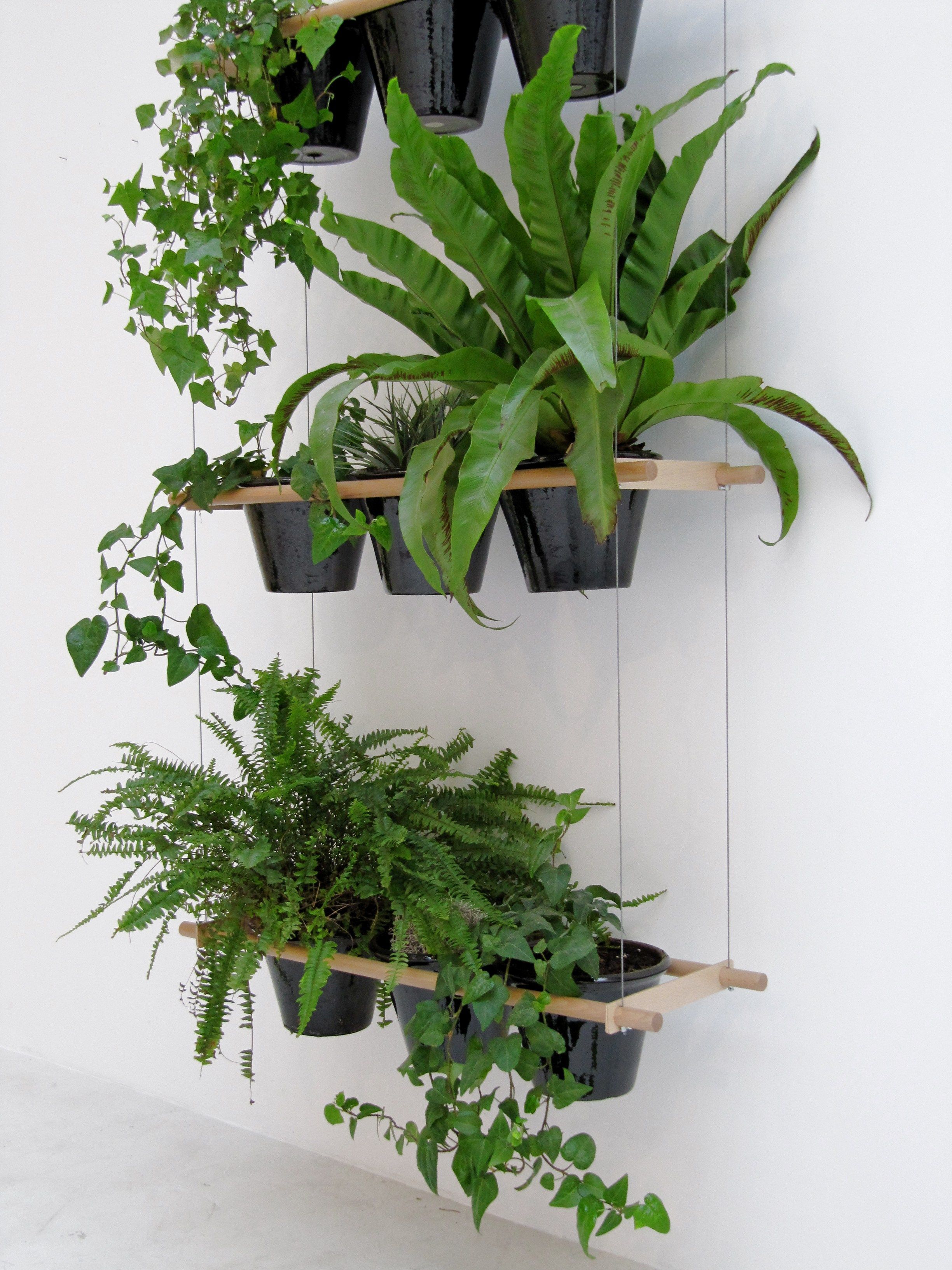 Macetero en acero Etcetera by Compagnie | diseño Vincent Vandenbrouck Les ...