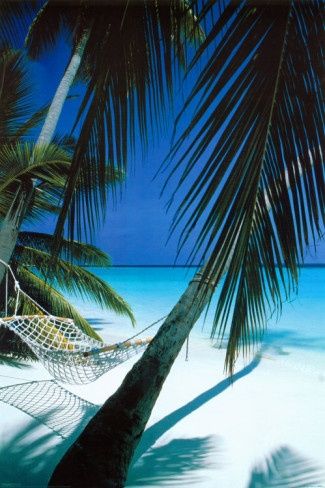 Tropical Beachhammock between palms | Lindas paisagens Sommer Tropical Familie Palmen Strand Frauen Premium