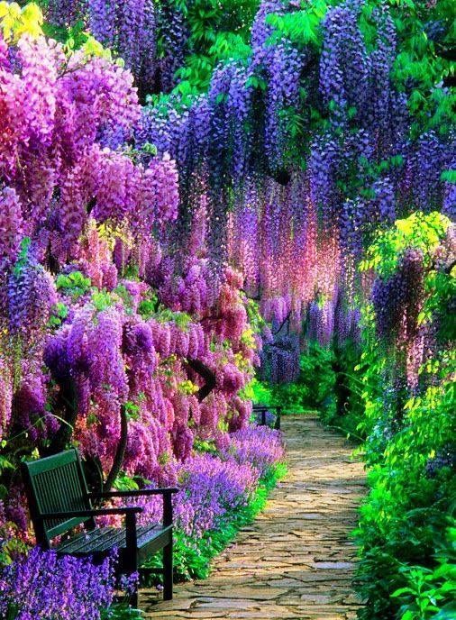 Pin de Emily Lipe en Amazing Images Pinterest Paisajes - paisaje jardin Pin de Emily Lipe en Amazing Images Pinterest Paisajes - paisaje jardin