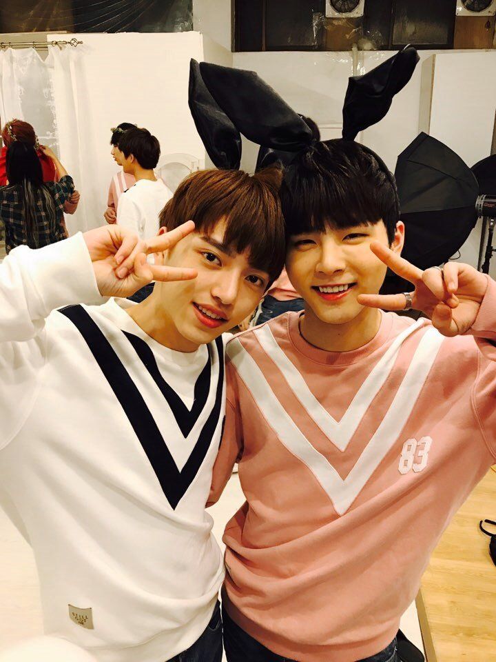 14u 14u baekgom twitter jung 14u 14u baekgom twitter jung