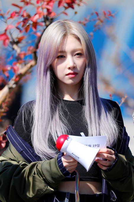 hong euijin do you want more evergreen sonamoo just hong euijin do you want more evergreen sonamoo just
