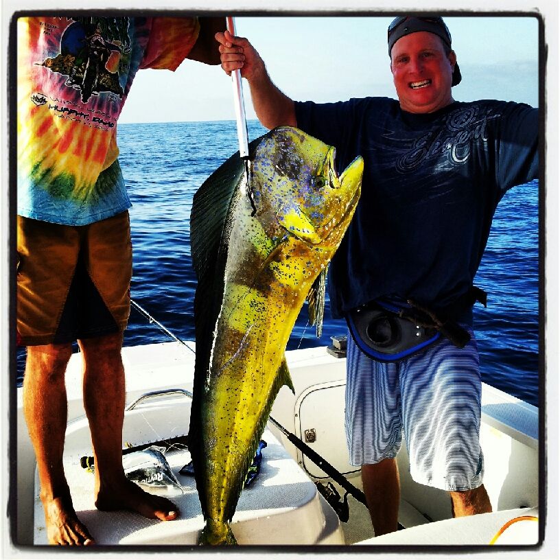 Big Ass Game Fishing A Great Layover Option Between Rides Amber Massey Baja Com Big Ass Game Fishing A Great Layover Option Between Rides Amber Massey Baja Com