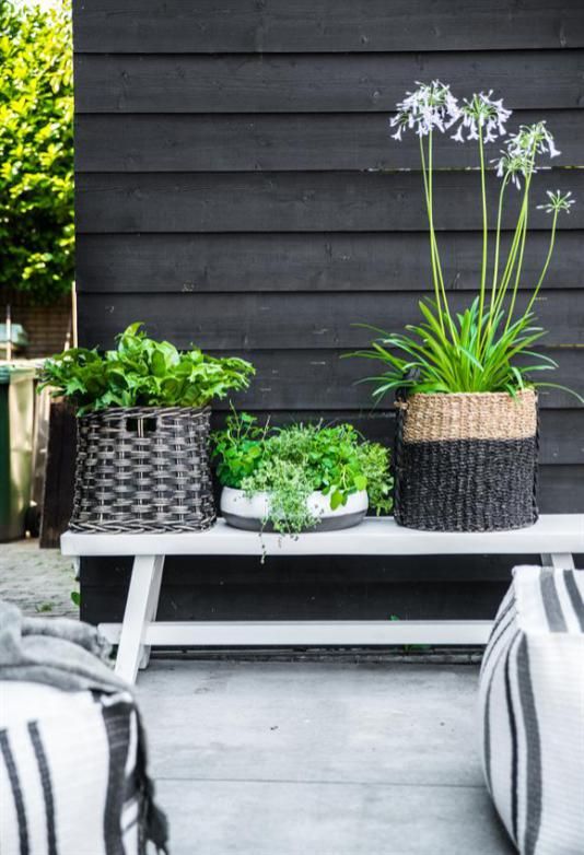 Tuin inspiratie | Tuintrend Scandinavisch modern - Woonblog StijlvolStyling.com - Beeld: hkliving - PaulinaArcklin Modern Garden Design, Contemporary Garden, Patio Design, Back Gardens, Small Gardens, Outdoor Gardens, Balcony Garden, Front Garden, Dream Garden