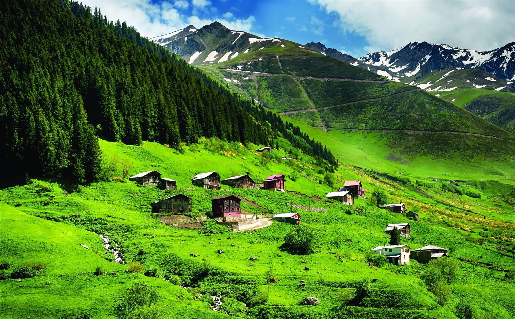 Yayla Cicegi Photos From Yayla Cicegi S Post Turizm Seyahat Tours