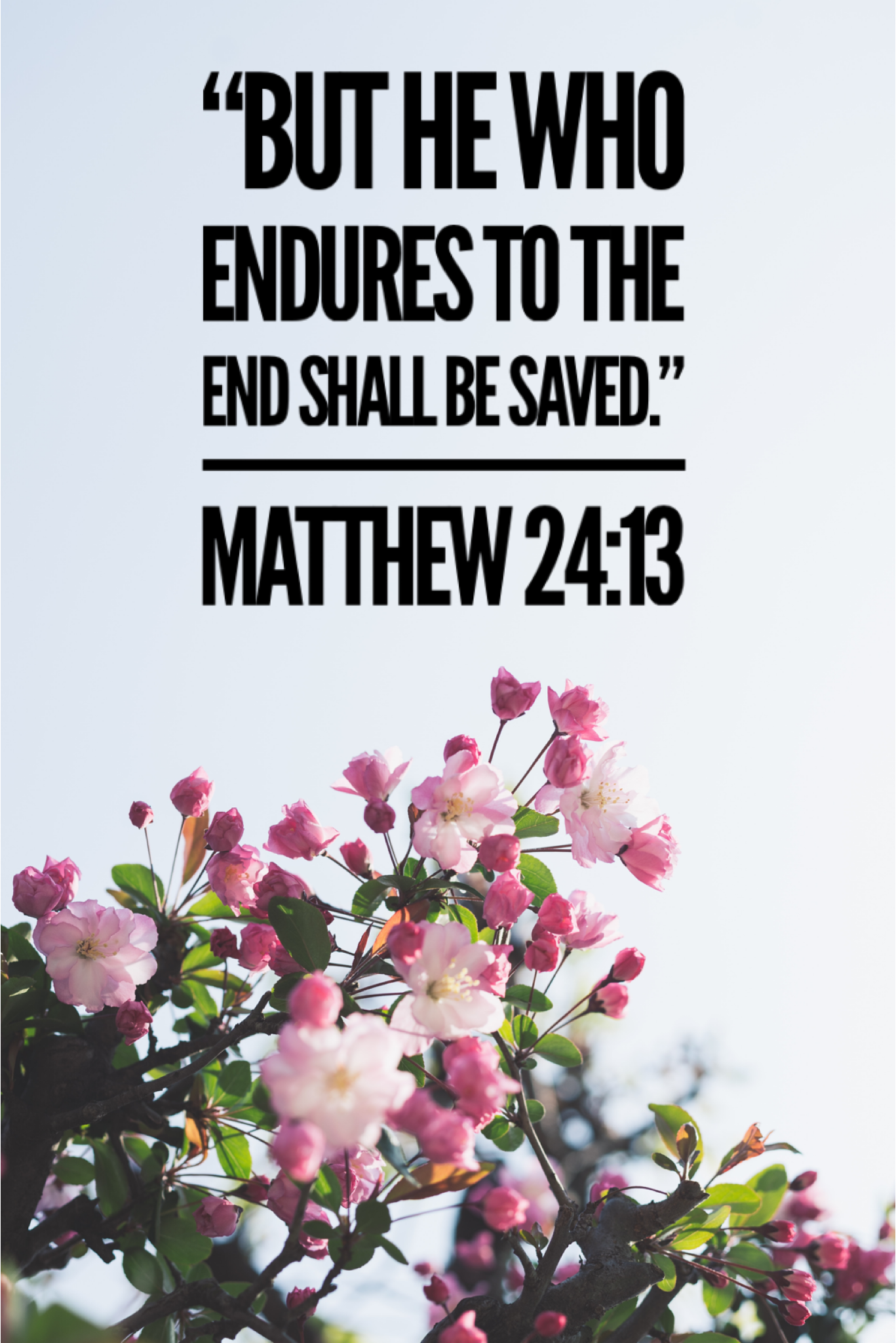 Verse Of The Day Matthew 24 13 Matthew 24 King James Version verse-of-the-day-matthew-24-13-matthew-24-king-james-version
