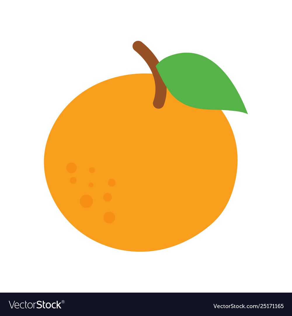 Orange fruit with leaf vector image on VectorStock ...