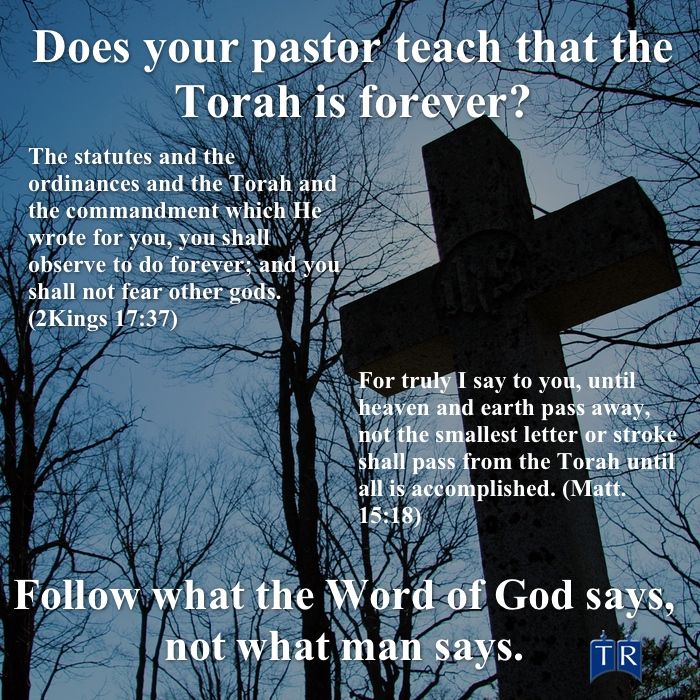 Torah, Jesus, God, Messiah, New Testament | Torah quotes, Torah, Bible facts