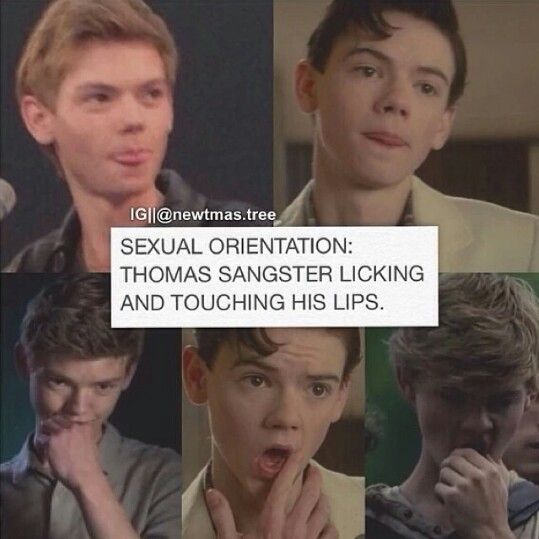 Newt | Tumblr Newt | Tumblr
