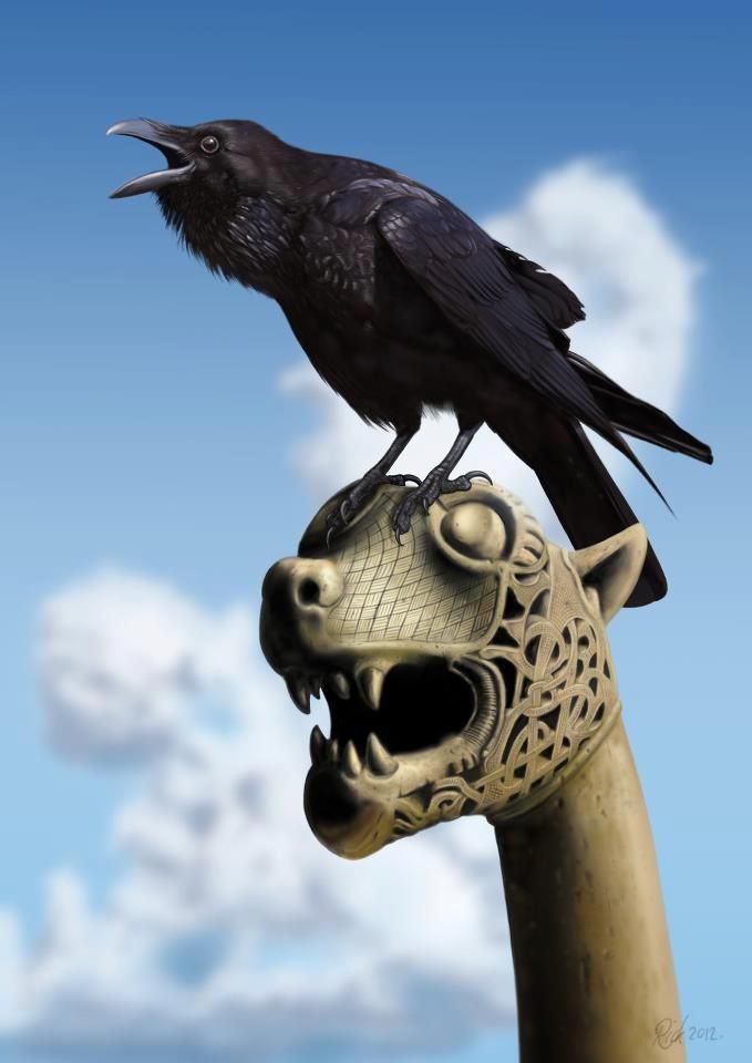Image of Viking ravens symbol