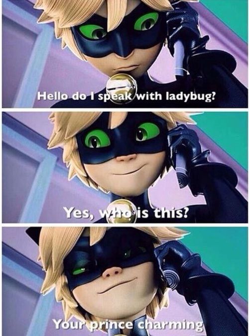 Chat Miraculous Ladybug Memes Ladybug Miraculous Ladybug Funny