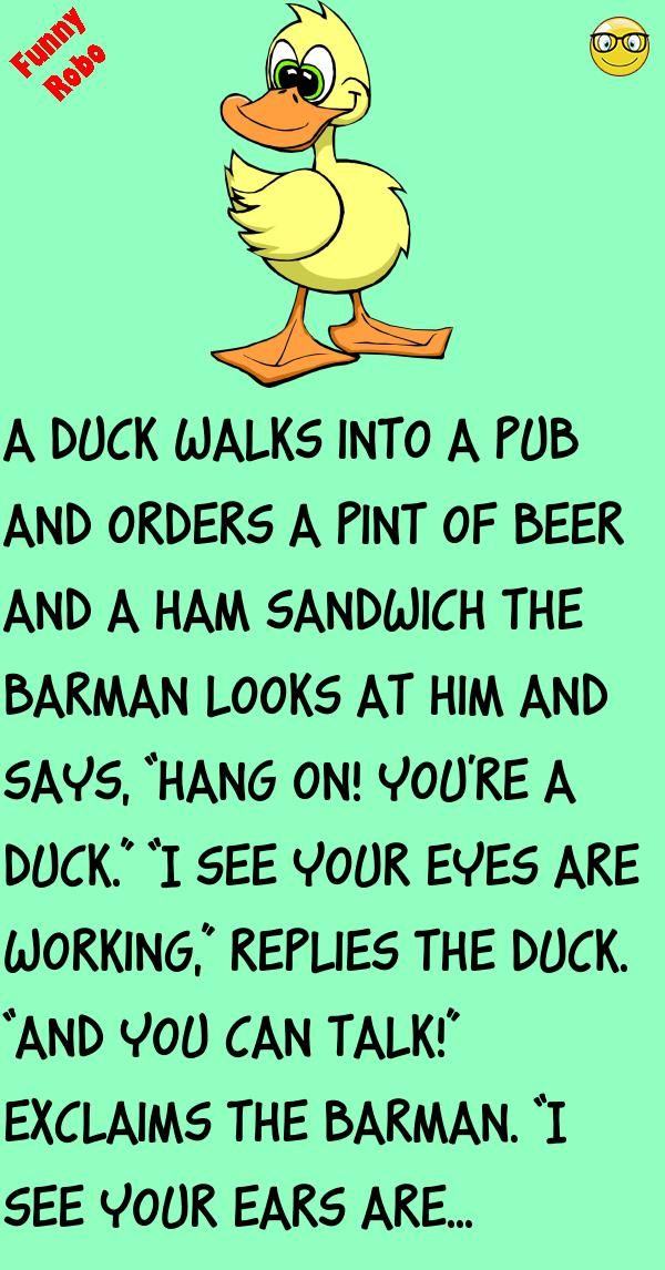 PLASTER DUCK