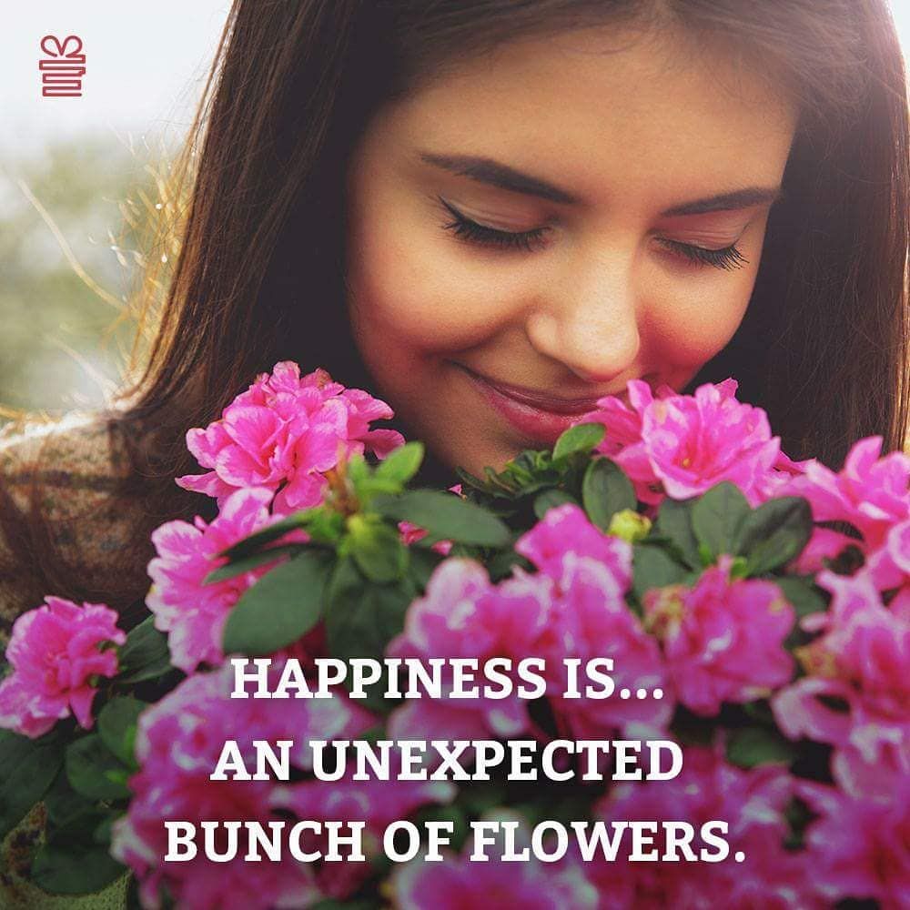 Flowers liven up one's mood like anything and brings a ... Flowers liven up one's mood like anything and brings a ...