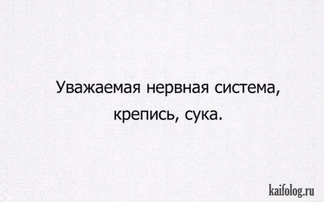 Прикольные Цитаты Для Фото Прикольные Цитаты Для Фото