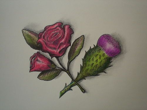The Thistle And The Rose Http Www Janegodmanauthor Com Thistle Tattoo Thistle Rose Tattoo Thistle Design
