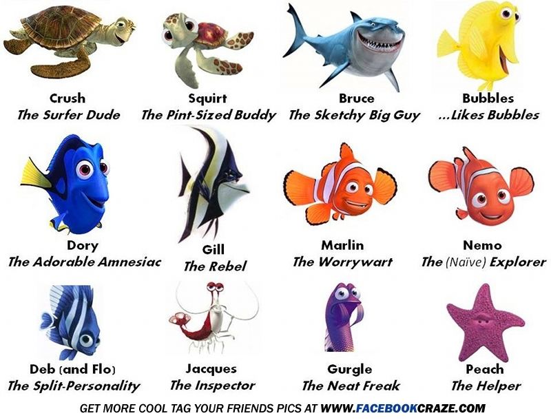 Nemos Friends Nemos Friends
