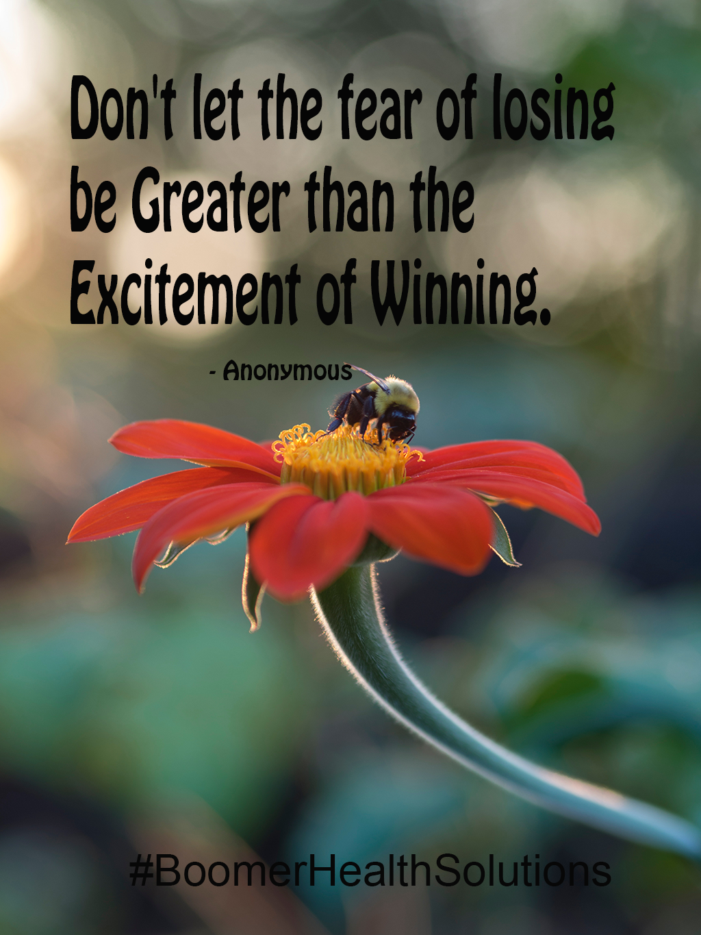 don-t-let-the-fear-of-losing-be-greater-than-the-excitement-of-winning