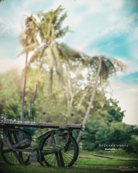 Wedding Background Images, Blur Image Background, Desktop Background Pictures, Blur Background Photography, Studio Background Images, Photo Background Editor, Simple Background Images, Picsart Background, Editing Background