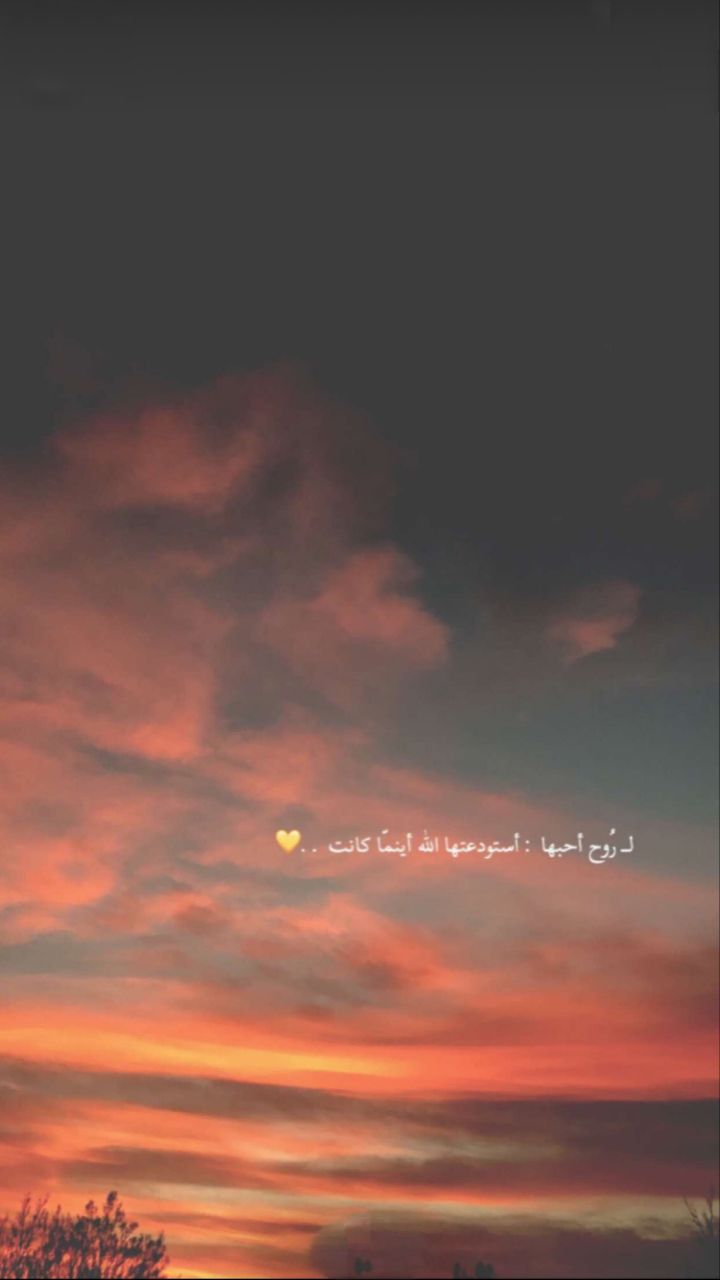Pin By Amani On Love Love Quotes Photos Arabic Quotes One Word Quotes