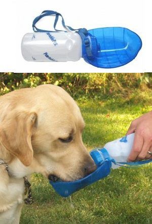 Tablero Rascador Para Perros Juguetes Para Gatos Jantopet Tablero Rascador Para Perros Juguetes Para Gatos Jantopet