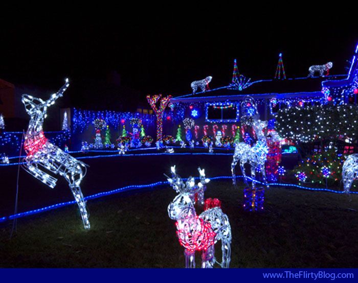 peura matkailu lyd tm ja muuta kyttjn billfraley64 taulusta christmas display ideas - Christmas Light Display Ideas peura matkailu lyd tm ja muuta kyttjn billfraley64 taulusta christmas display ideas - Christmas Light Display Ideas