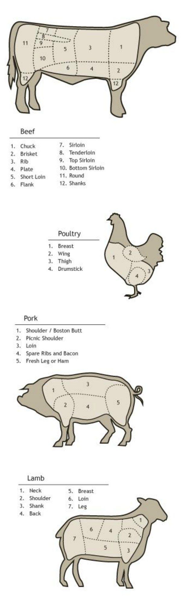 Cooking, no matter the meal, can be stressful. Instead of hitting up Google with your millions of questions, check out these 17 simple cooking diagrams! Baking Tips, Cooking And Baking, Cooking Recipes, Paleo Recipes, Cooking Sites, Cooking Basics, Cuisine Recipes, Cooking Guide, Cooking Kitchen