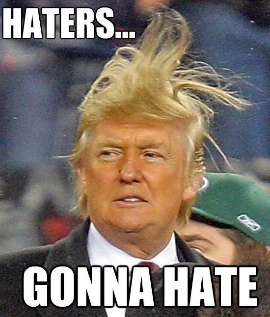 5 most hairlarious donald trump memes memes pinterest hair 3bb4954d564c260f3337df3ce22b1ef3 5 most hairlarious donald trump memes memes pinterest hair