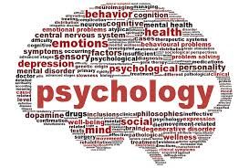 what is sign language essay work