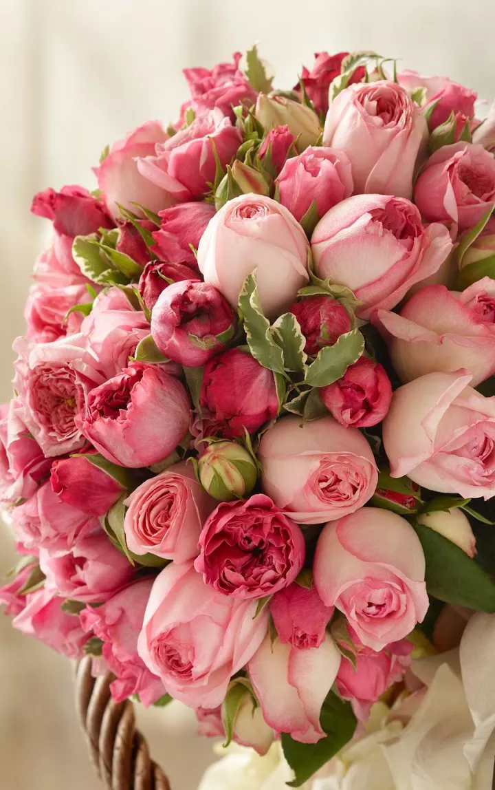 Unforeseen Beautiful Flowers Bouquet Gift Unforeseen Beautiful Flowers Bouquet Gift