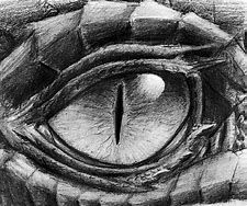 Bildergebnis für drachenkopf bleistift zeichung - #Bildergebnis #Bleistift #drachenkopf #für #zeichnen #zeichung #dragontattoo