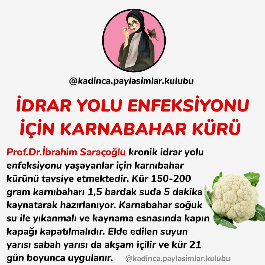 melahat adli kullanicinin saglik bilgileri panosundaki pin 2021 21 gun bilgi kaptan