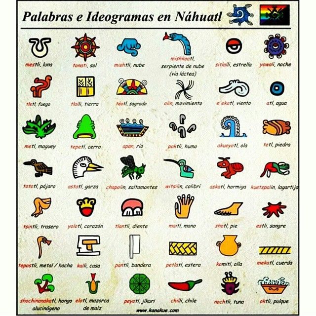 Table Of A Few Aztec Glyphs Explained Lenguas Indigenas De Mexico Table Of A Few Aztec Glyphs Explained Lenguas Indigenas De Mexico