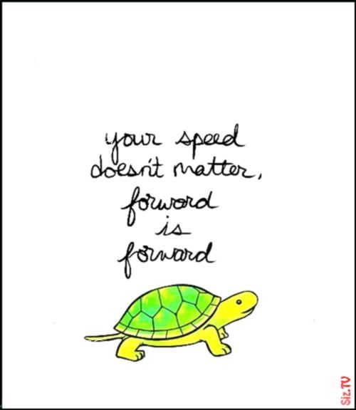 #certainly #upright #fitness #quotes #monday #doesnt #hellip #matter #photo #happy #doesn #speed #ju...