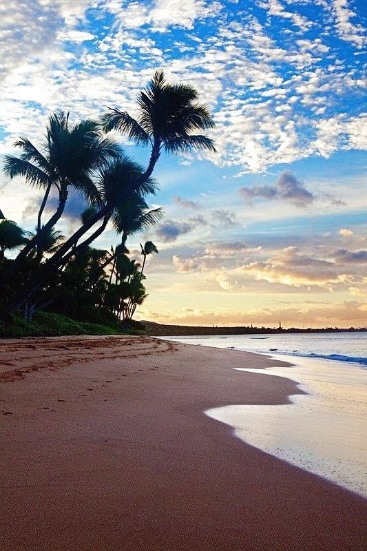 Natal Brasil Lindas Paisagens Lugares Bonitos Nascer Do Sol Na Praia